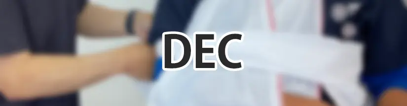 DECページタイトル