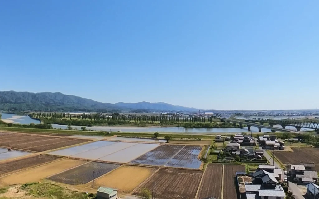 荒川付近の田植え前